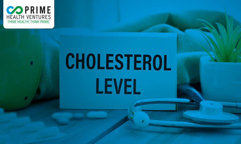 How does it maintain cholesterol levels